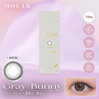เกรย์บันนี [MOLAK] | 1day 