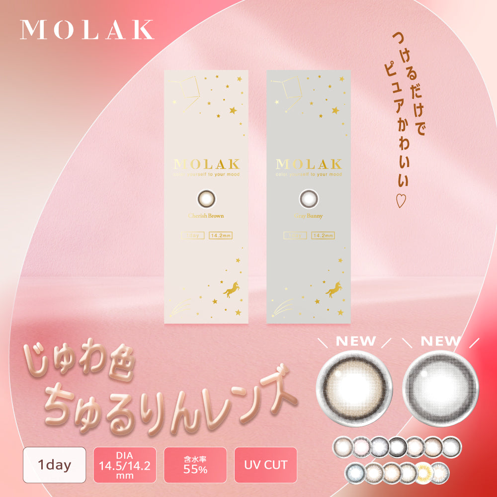 ブラウンバニー [MOLAK] | 1dayカラコン - DIA 14.2mm | Push!Color