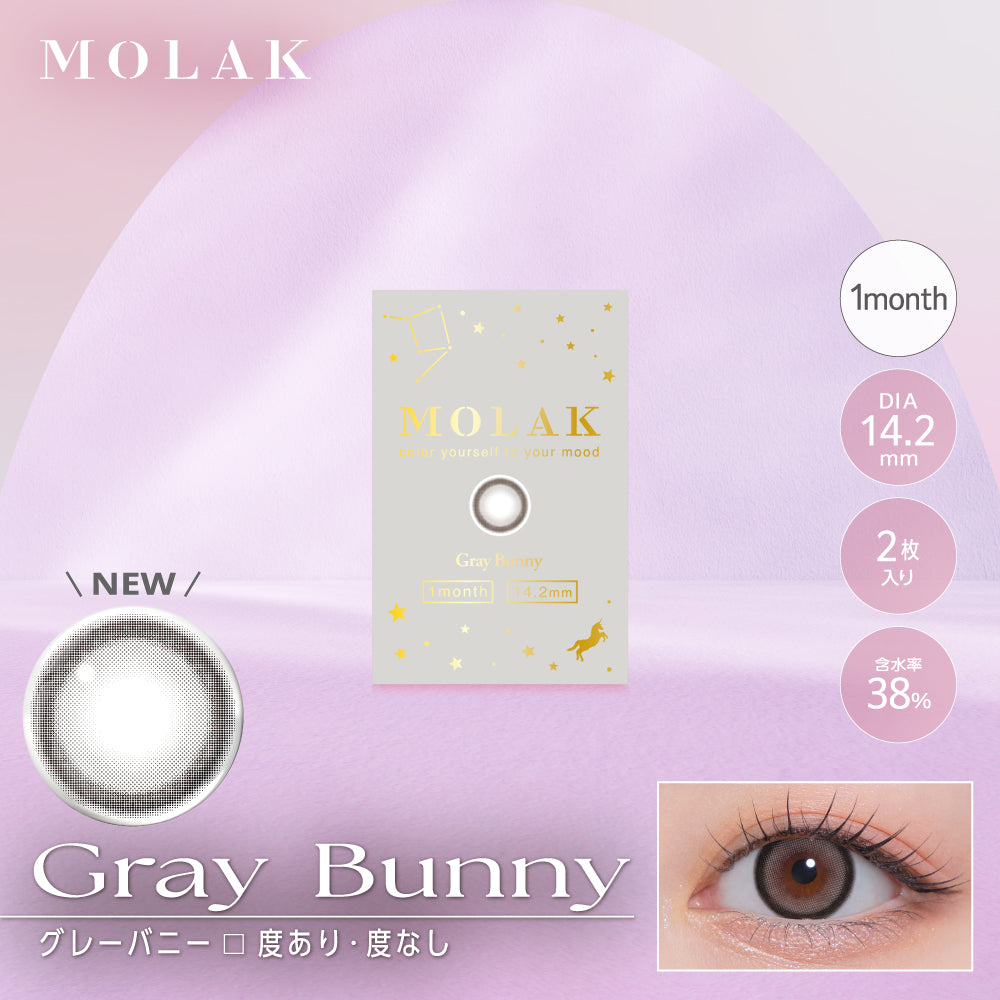 グレーバニー [MOLAK] | 1month