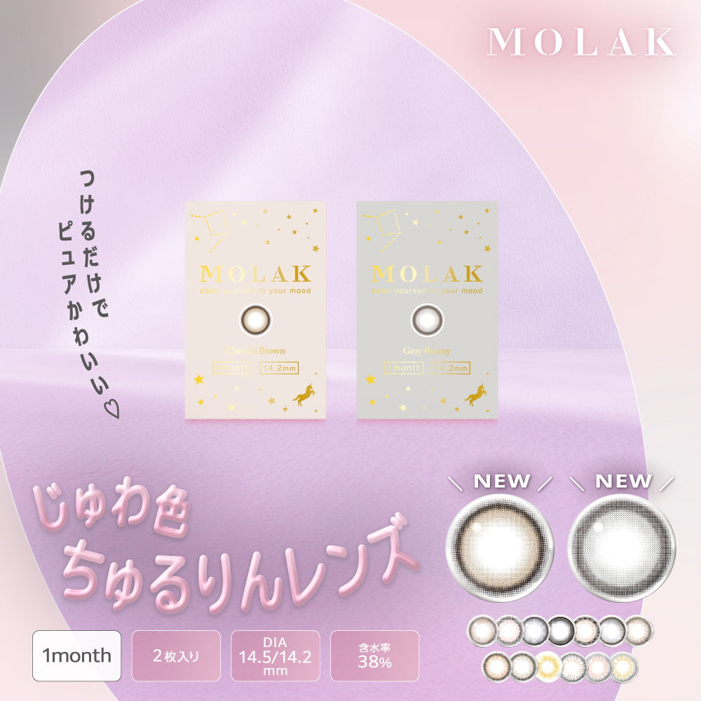 Dollish Gray [MOLAK] | 1month Colored Contact Lens - DIA 14.2mm