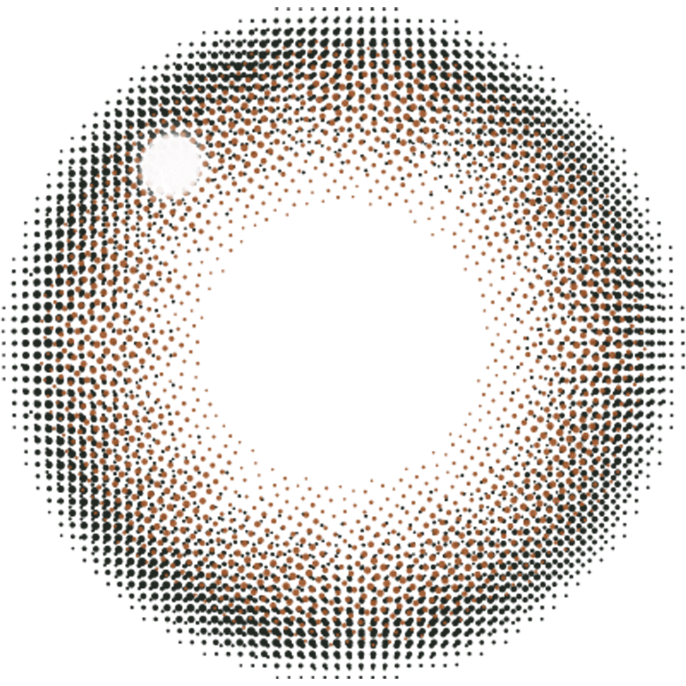 멜티모어 | 멜티모어 1일용