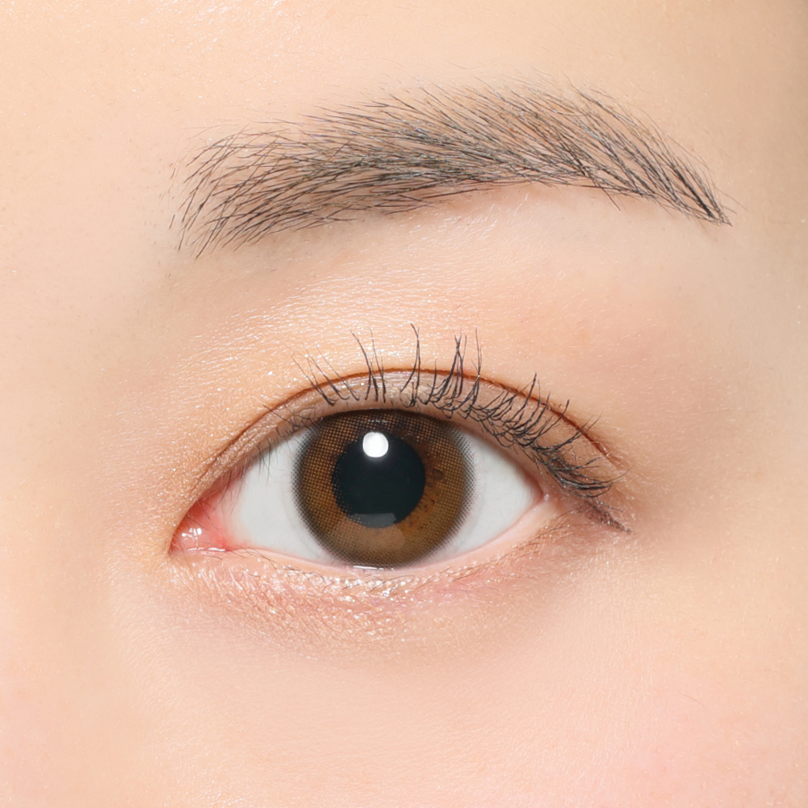 멜티베어 | 멜티베어 1일용