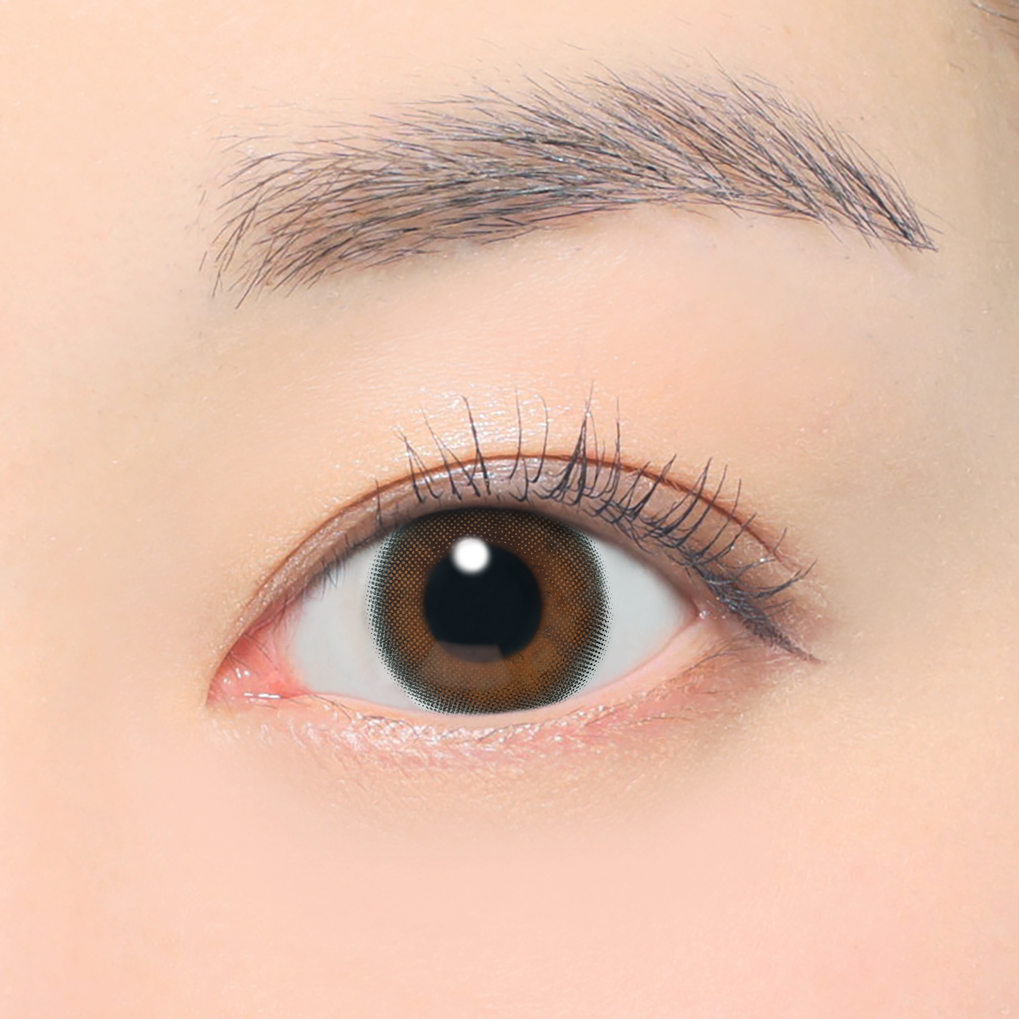 멜티모어 | 멜티모어 1일용