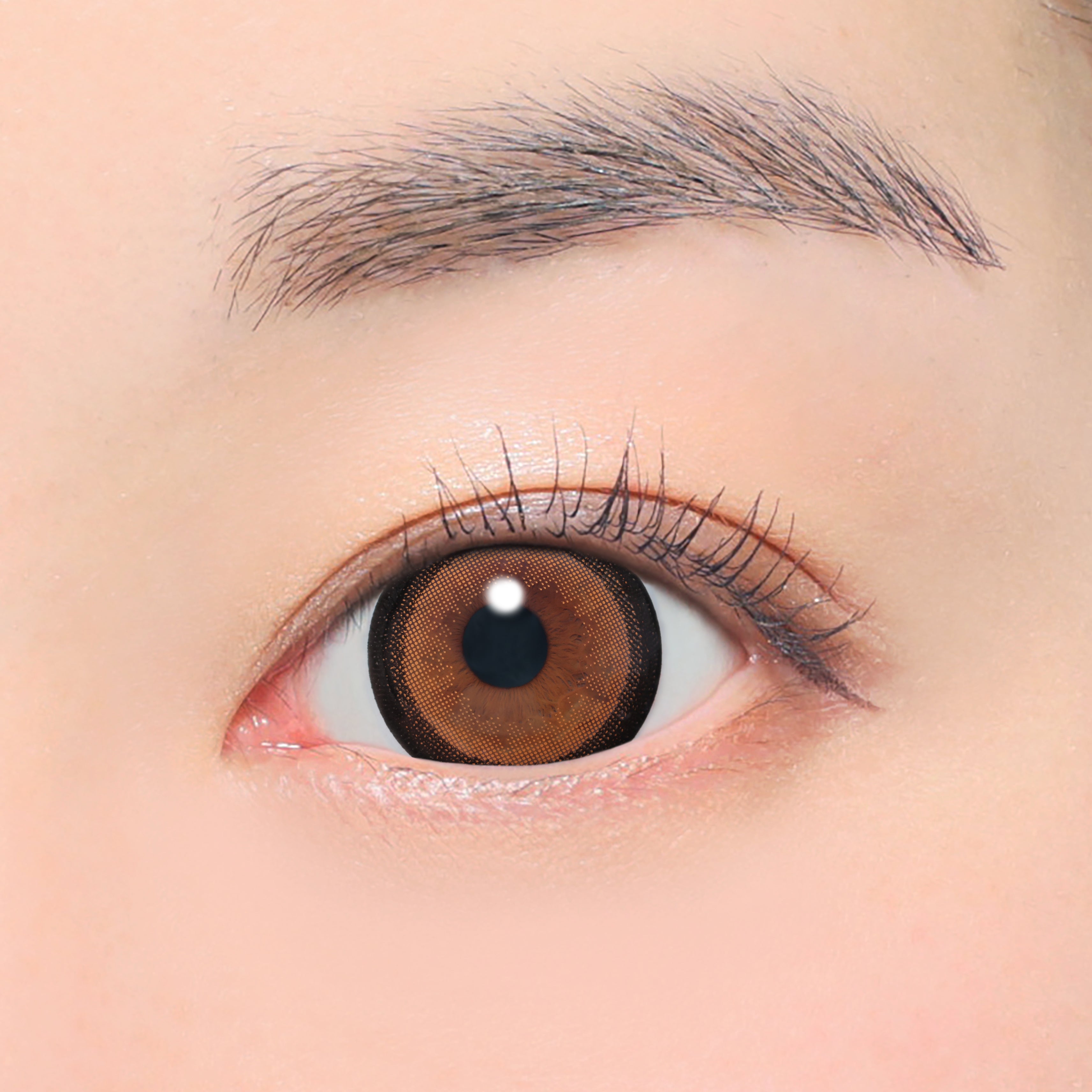 Số 3 Nâu Ống kính Toric (AXIS 180°/CYL -0.75D&-1.25D) [secret candymagic] | 1day 