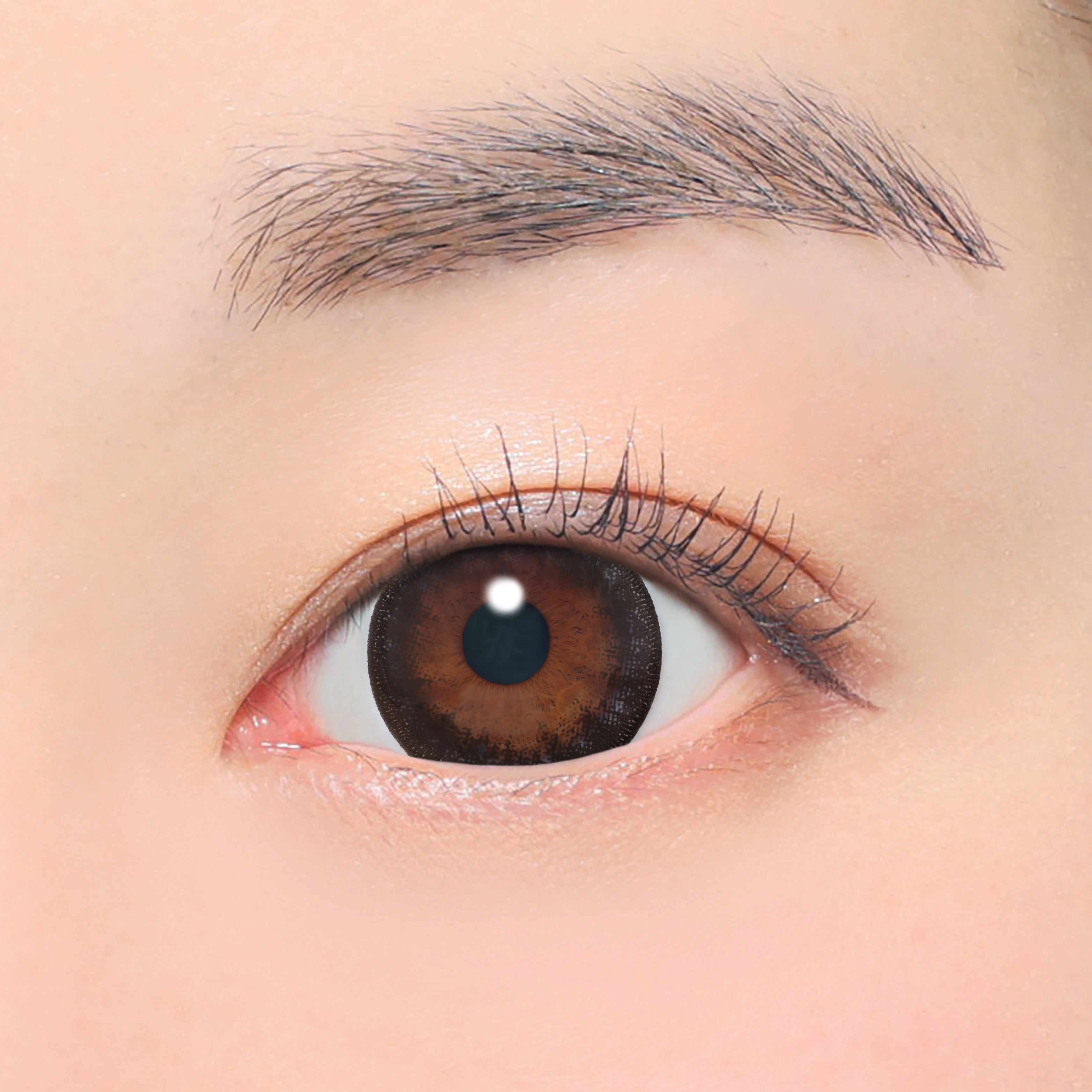 Nr.5 ブラック Torische Linsen (AXIS 180°/ZYL -1.75D&-2.25D) [secret candymagic] | 1day 