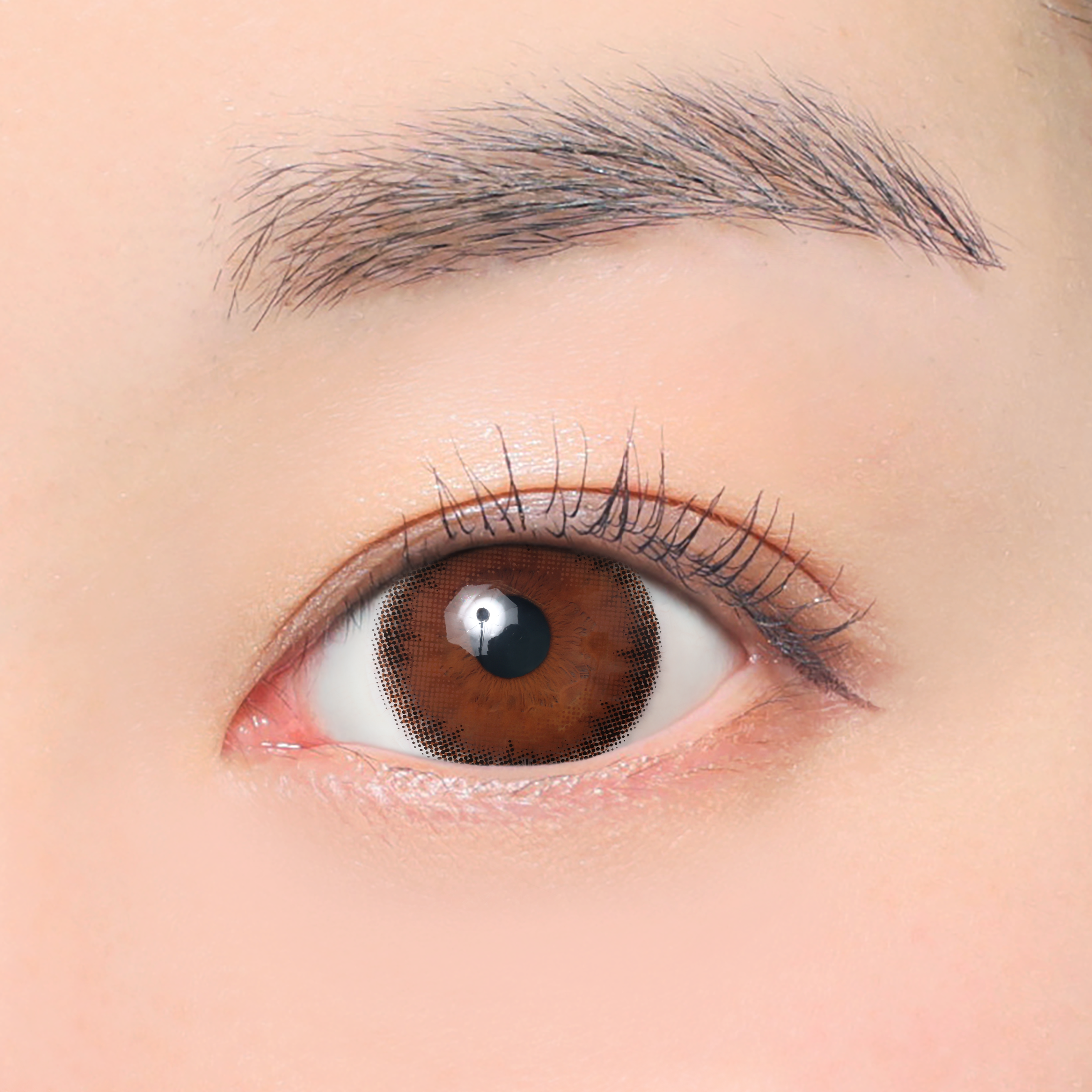 Dark Mocha Toric lenses (AXIS 180°/CYL -1.75D&-2.25D) [secret candymagic] | 1month