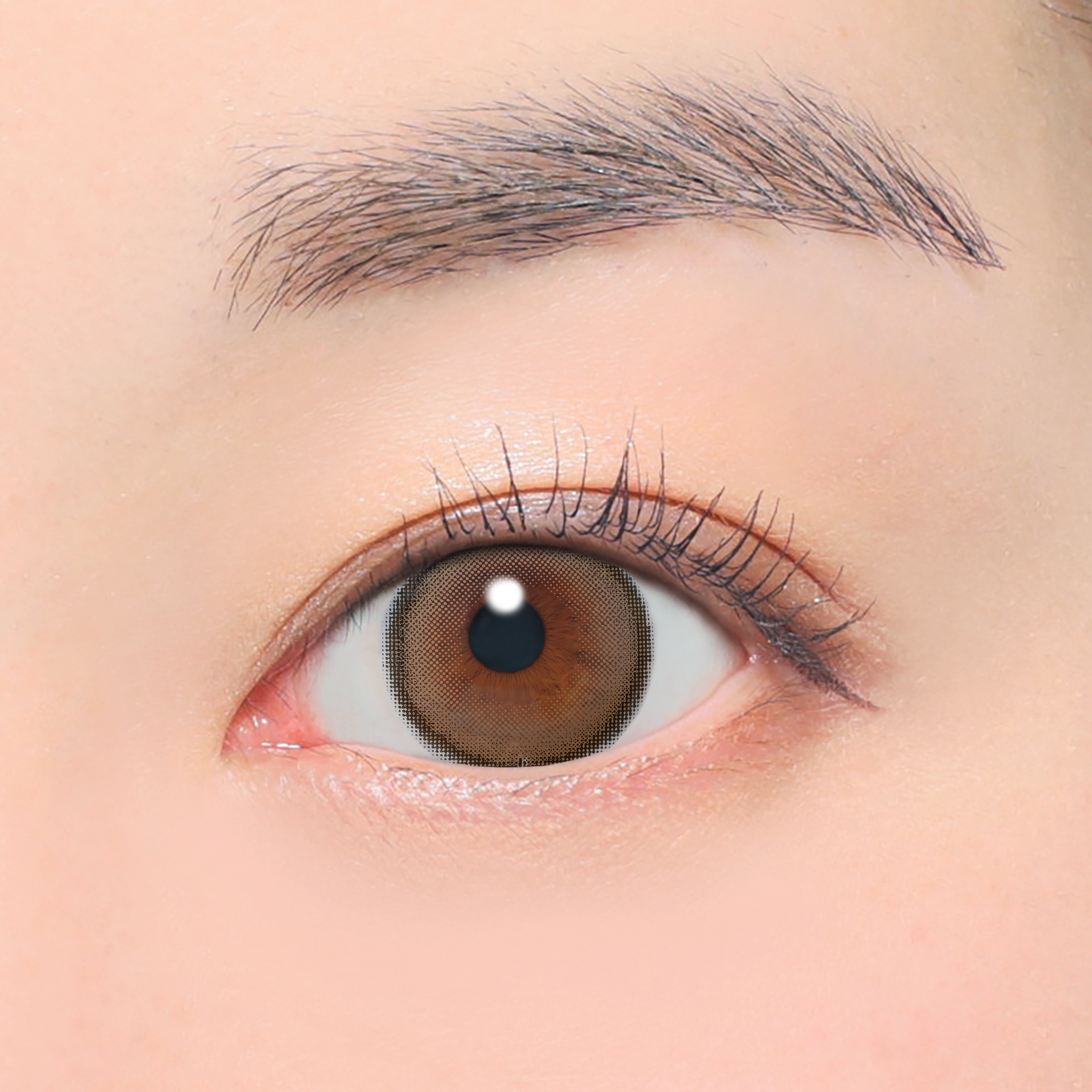 Latte Beige Toric lenses (AXIS 180°/CYL -0.75D&-1.25D) [secret candymagic] | 1month