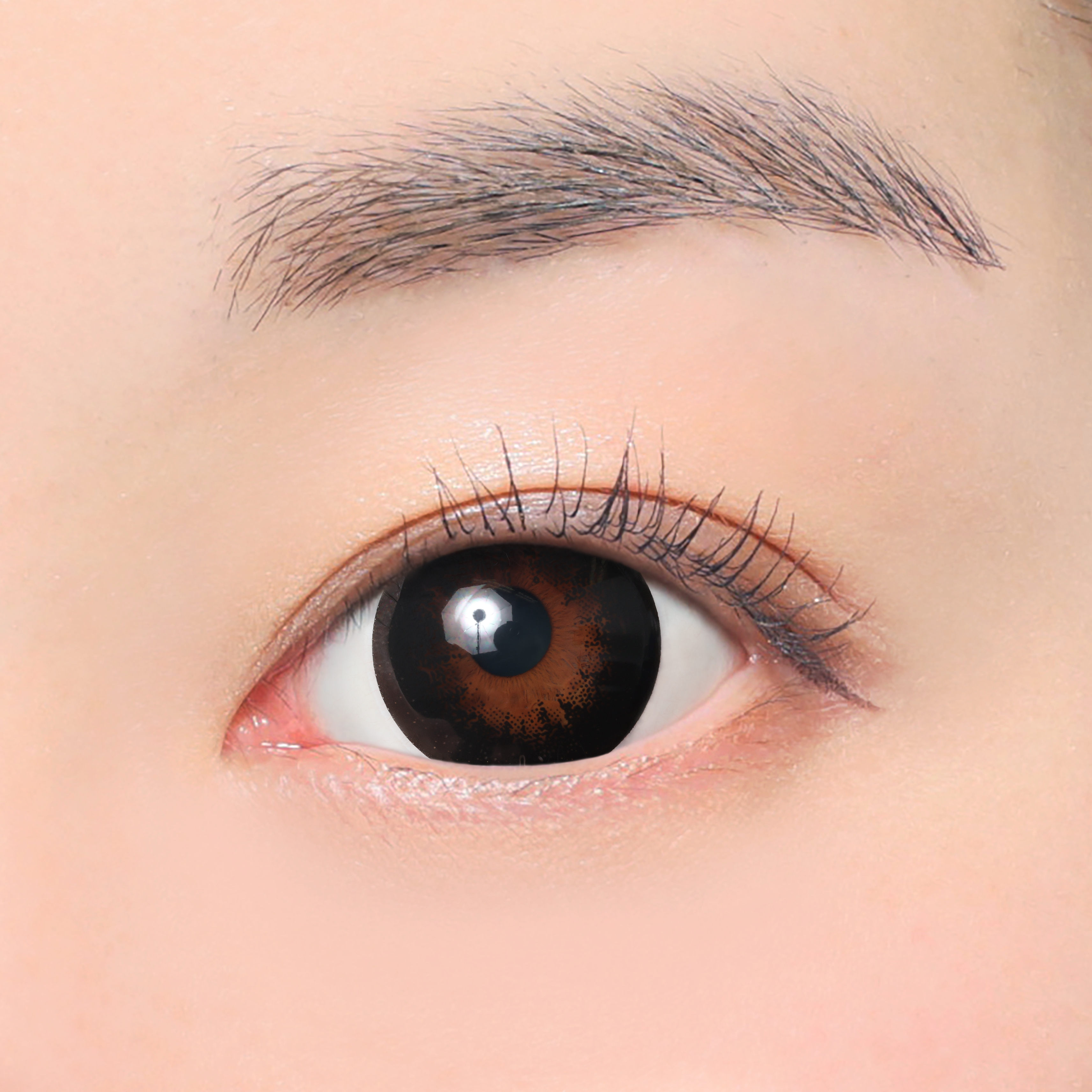 No.5 Black Toric lenses (AXIS 180°/CYL -0.75D&-1.25D) [secret candymagic] | 1month