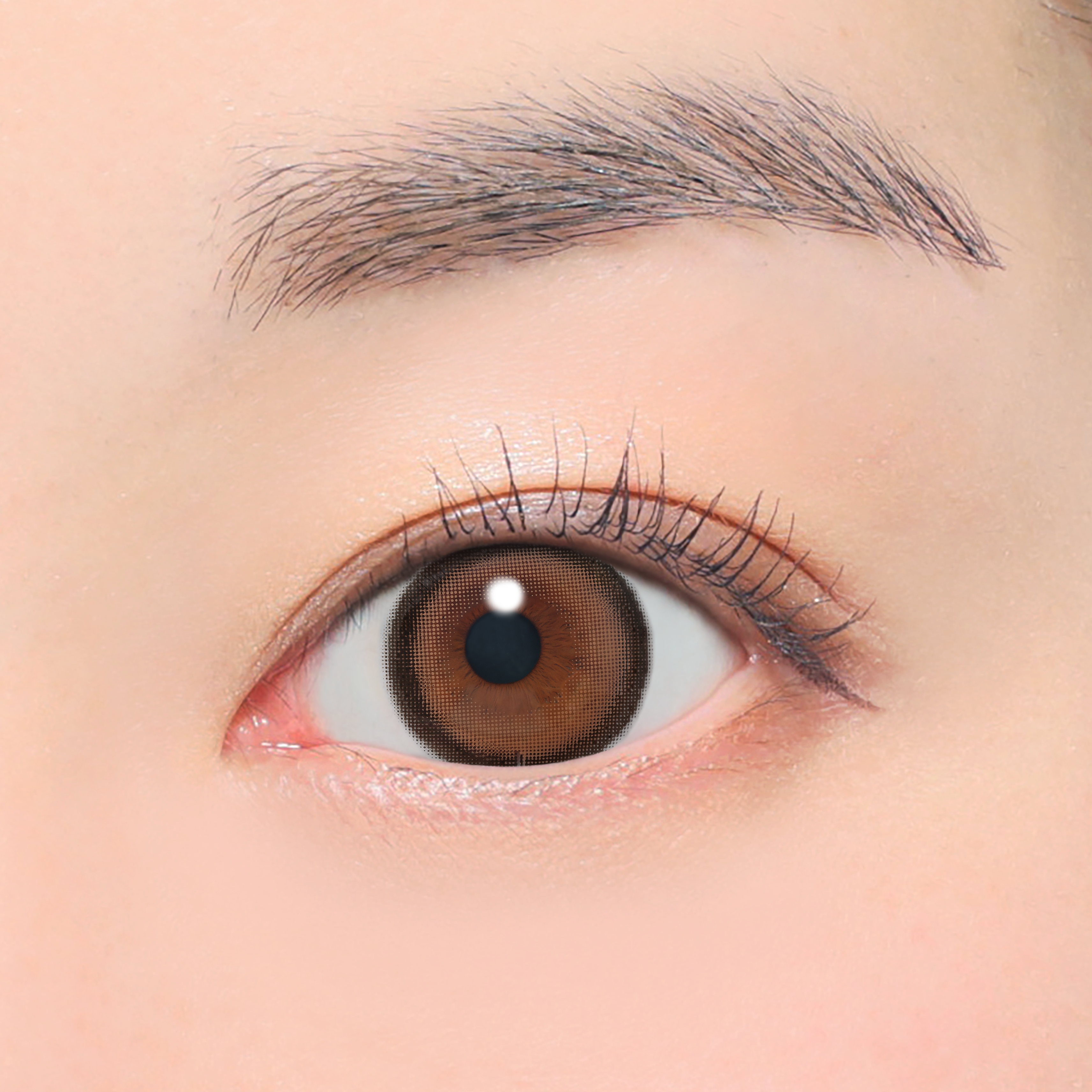Vanilla Brown Toric lenses (AXIS 180°/CYL -1.75D&-2.25D) [secret candymagic] | 1month