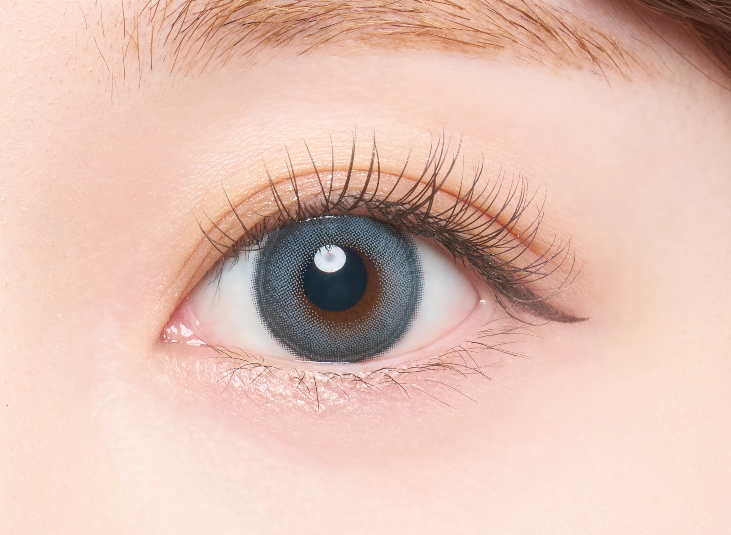 Swan Blue [Bambi Series] | 1month 