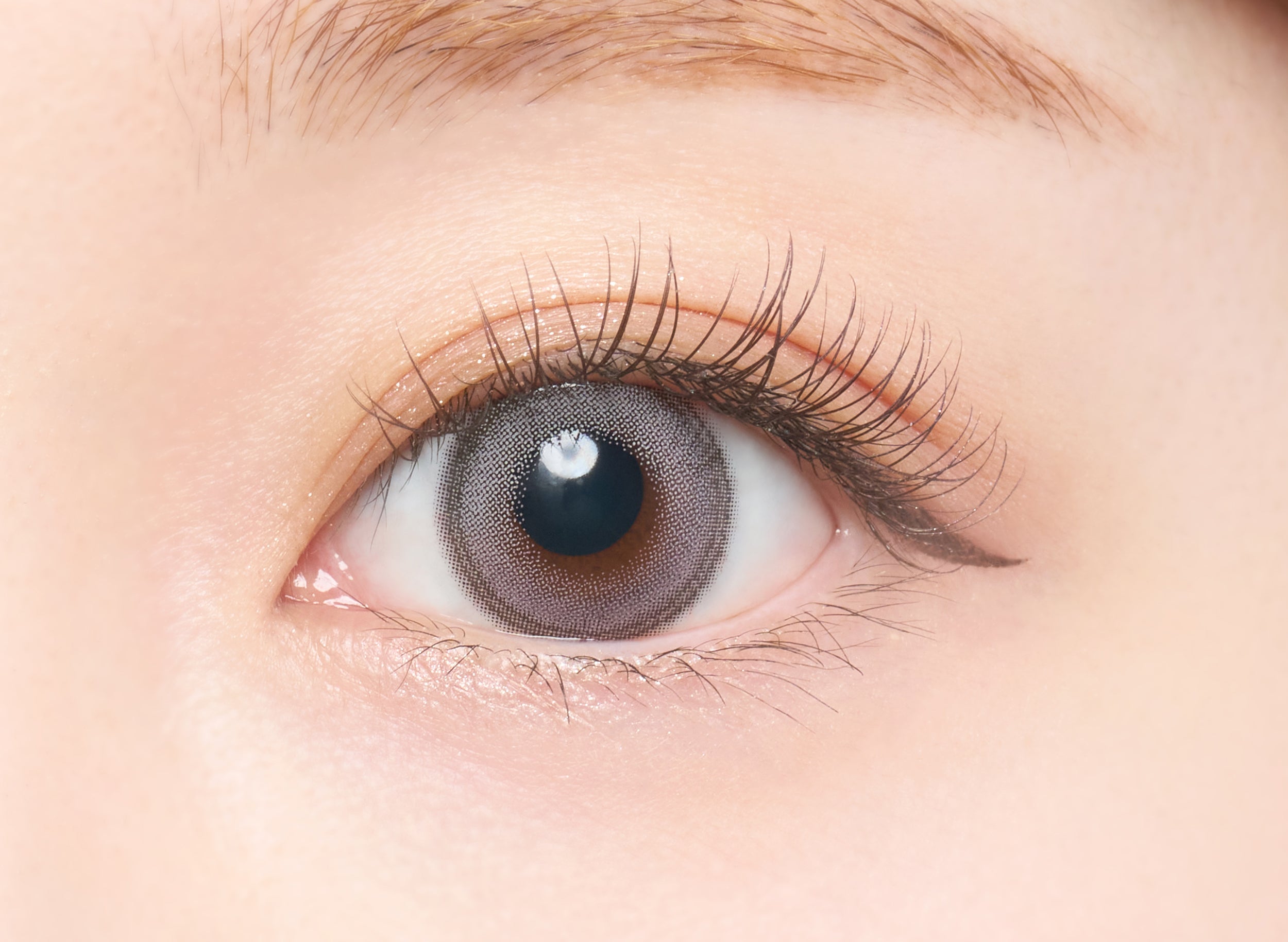 Swingrée [Série Bambi] | 1day 