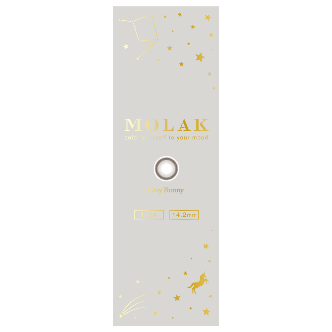 เกรย์บันนี [MOLAK] | 1day 