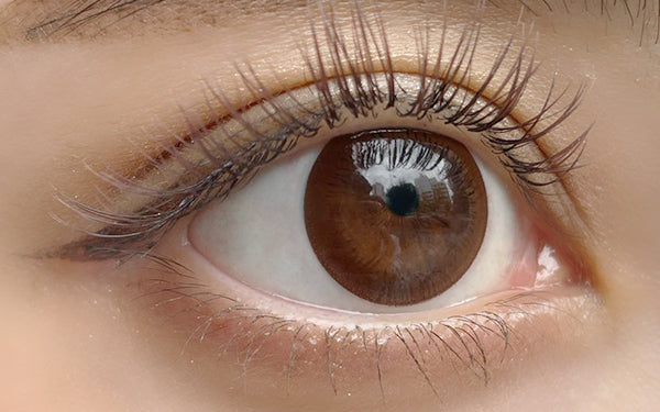 Vivid Brown Toric Lens [ANGEL EYES] | 1day 