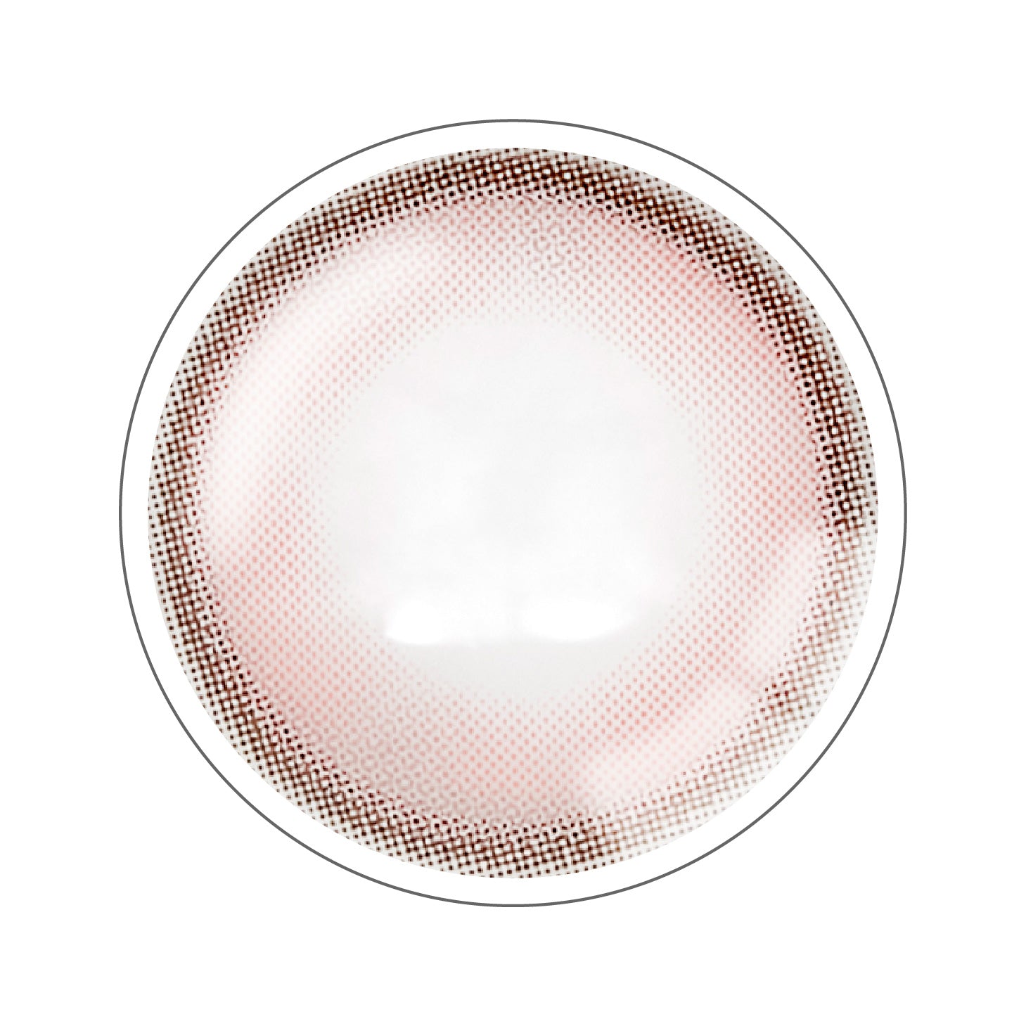 エッジピンク [ANGÉLIQUE] | 1day