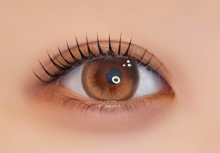 카페리아 [Ferenne] | 1day 