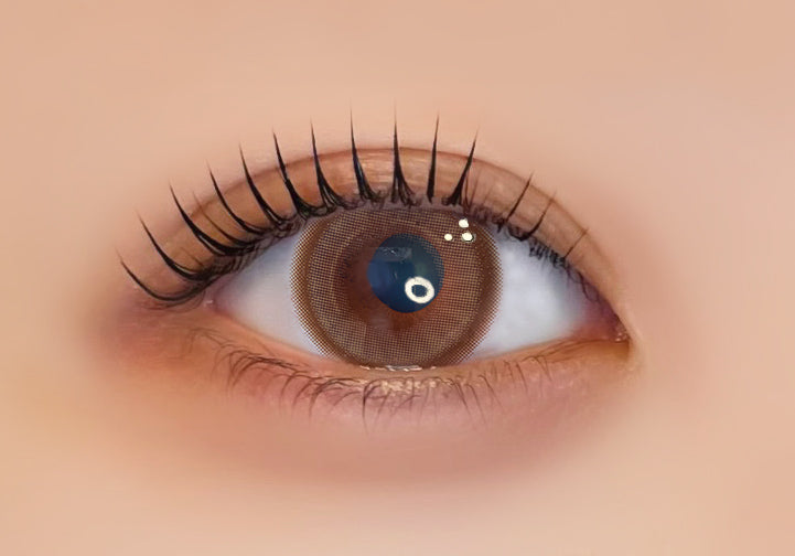 Chocolisse [Ferenne] | 1day 