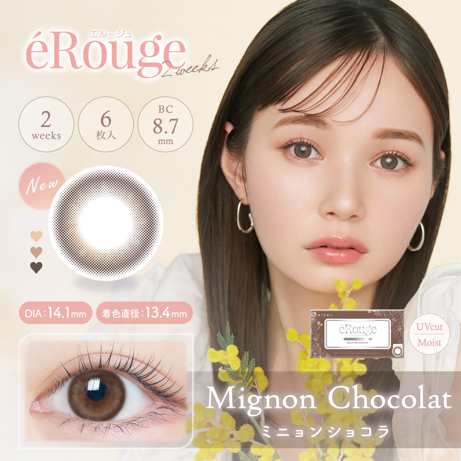 미뇽 쇼콜라 [éRouge] | 2week 