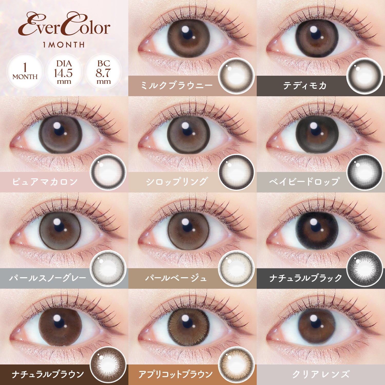 Teddy Mocha [EverColor] | 1month Colored Contact Lens - DIA 14.5mm