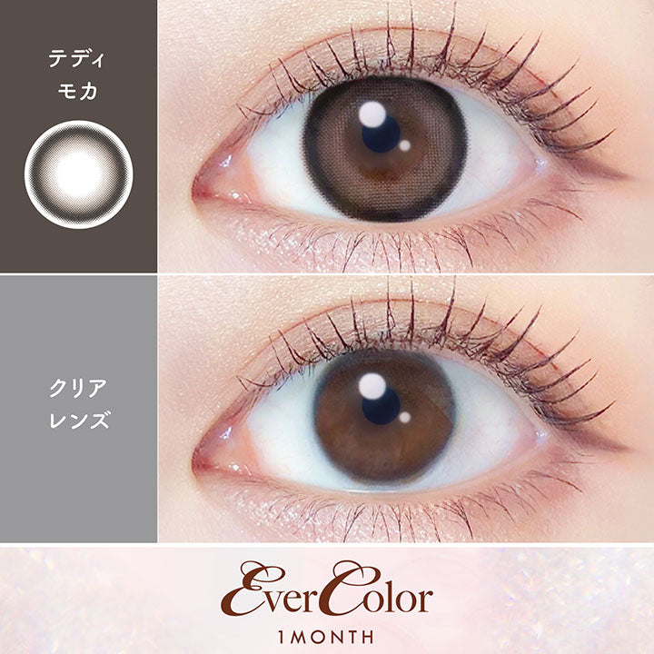 Teddy Mocha [EverColor] | 1month Colored Contact Lens - DIA 14.5mm