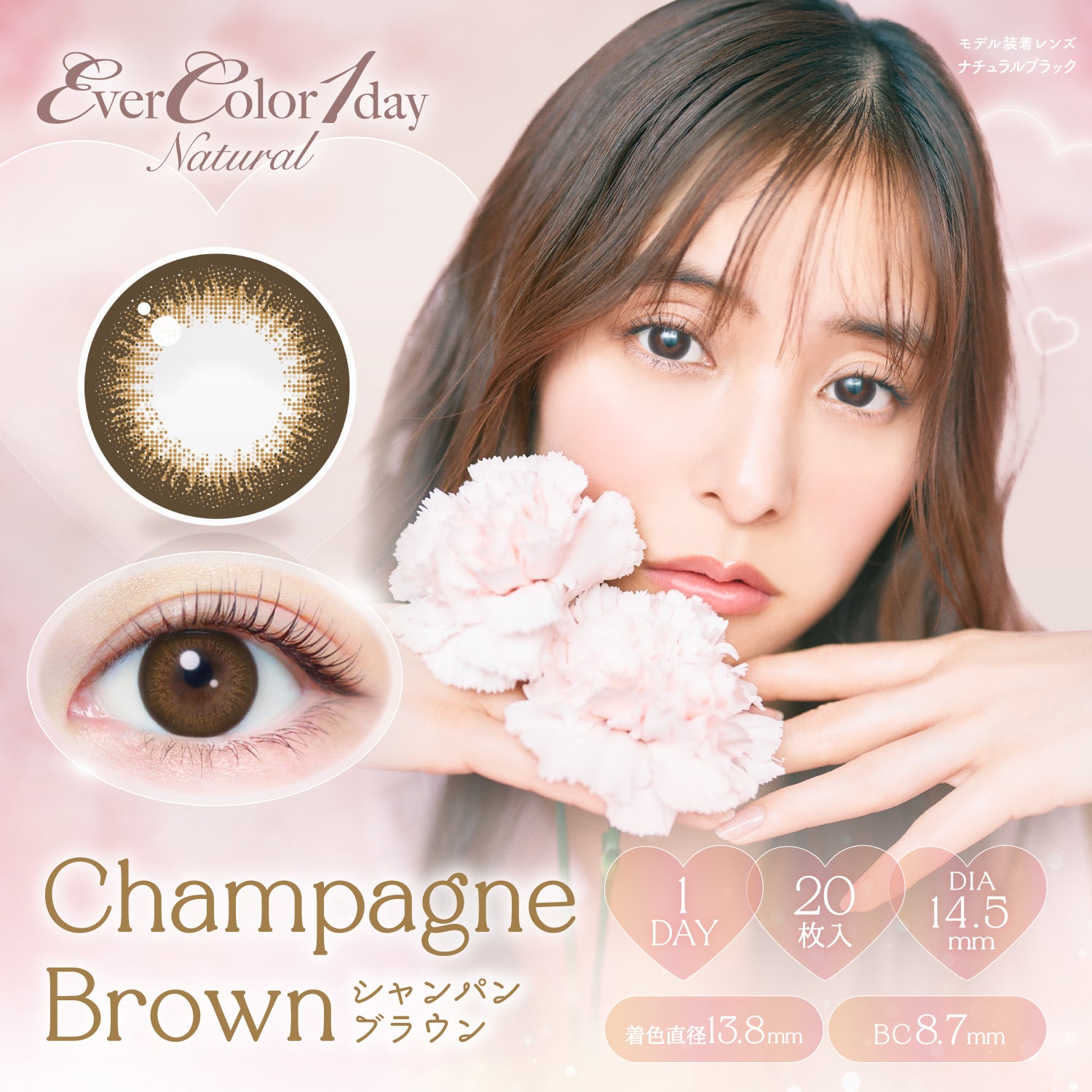 Champagne Brown [EverColor] | 1day Colored Contact Lens - DIA 14.5