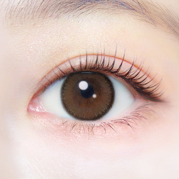 Apricot Brown  [EverColor] | 1day