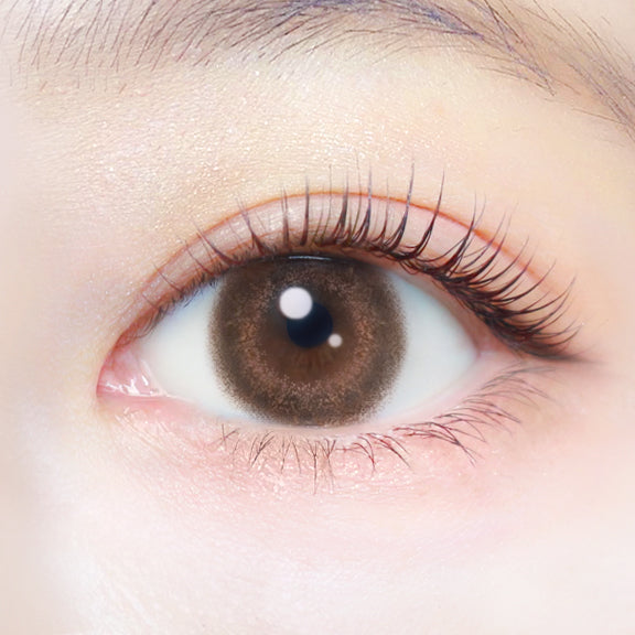 クラシックチーク [EverColor] | 1day