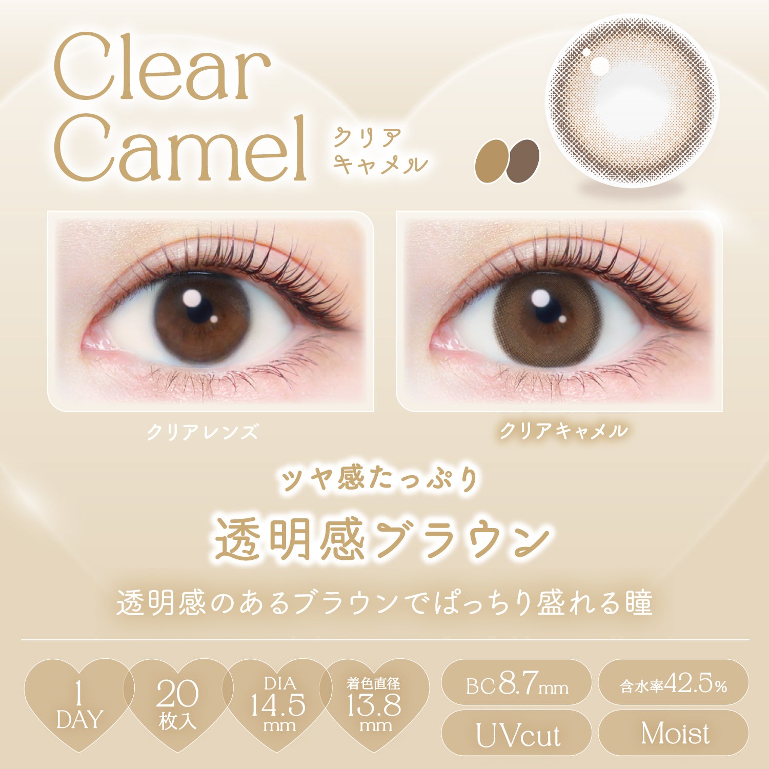Clear Camel [EverColor] | 1day Colored Contact Lens - DIA 14.5mm