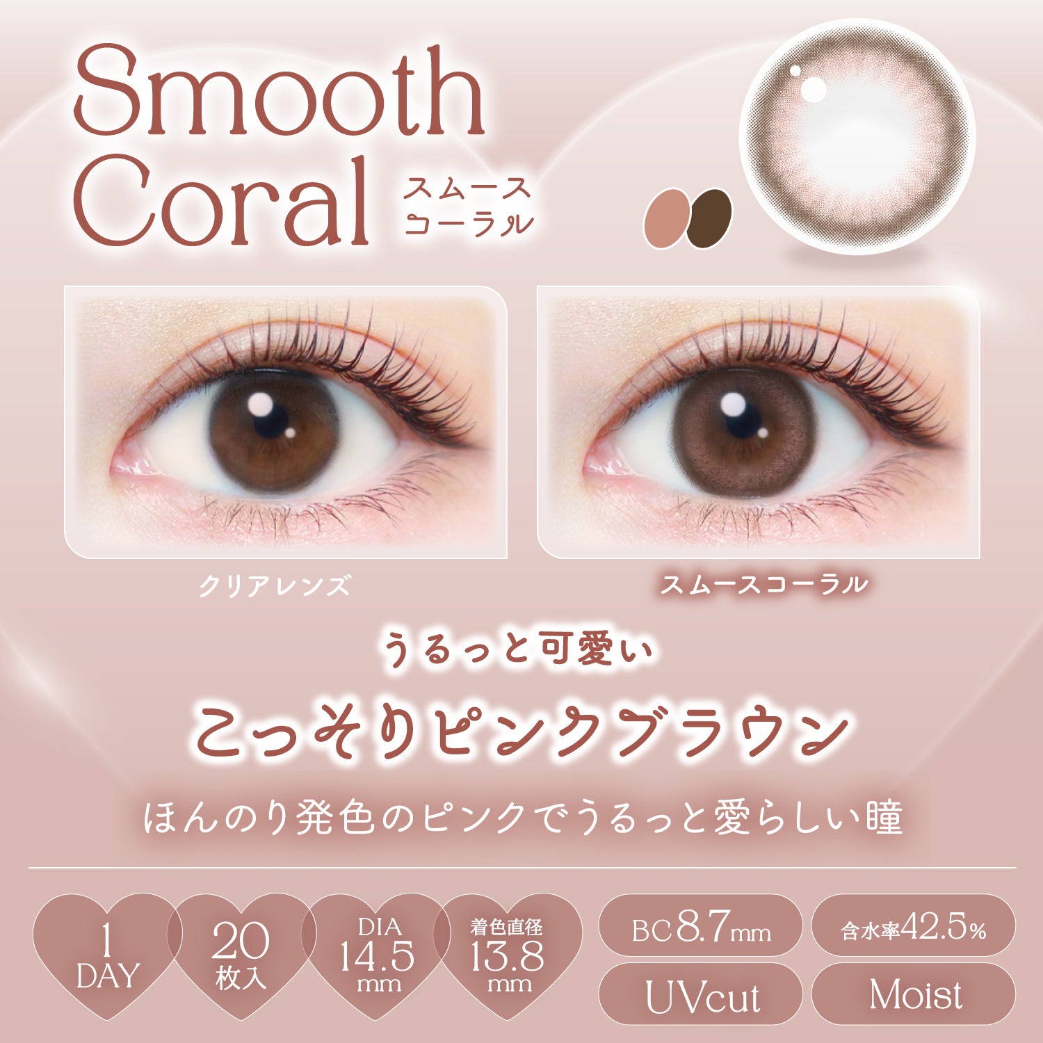 Smooth Coral [EverColor] | 1day Colored Contact Lens - DIA 14.5mm