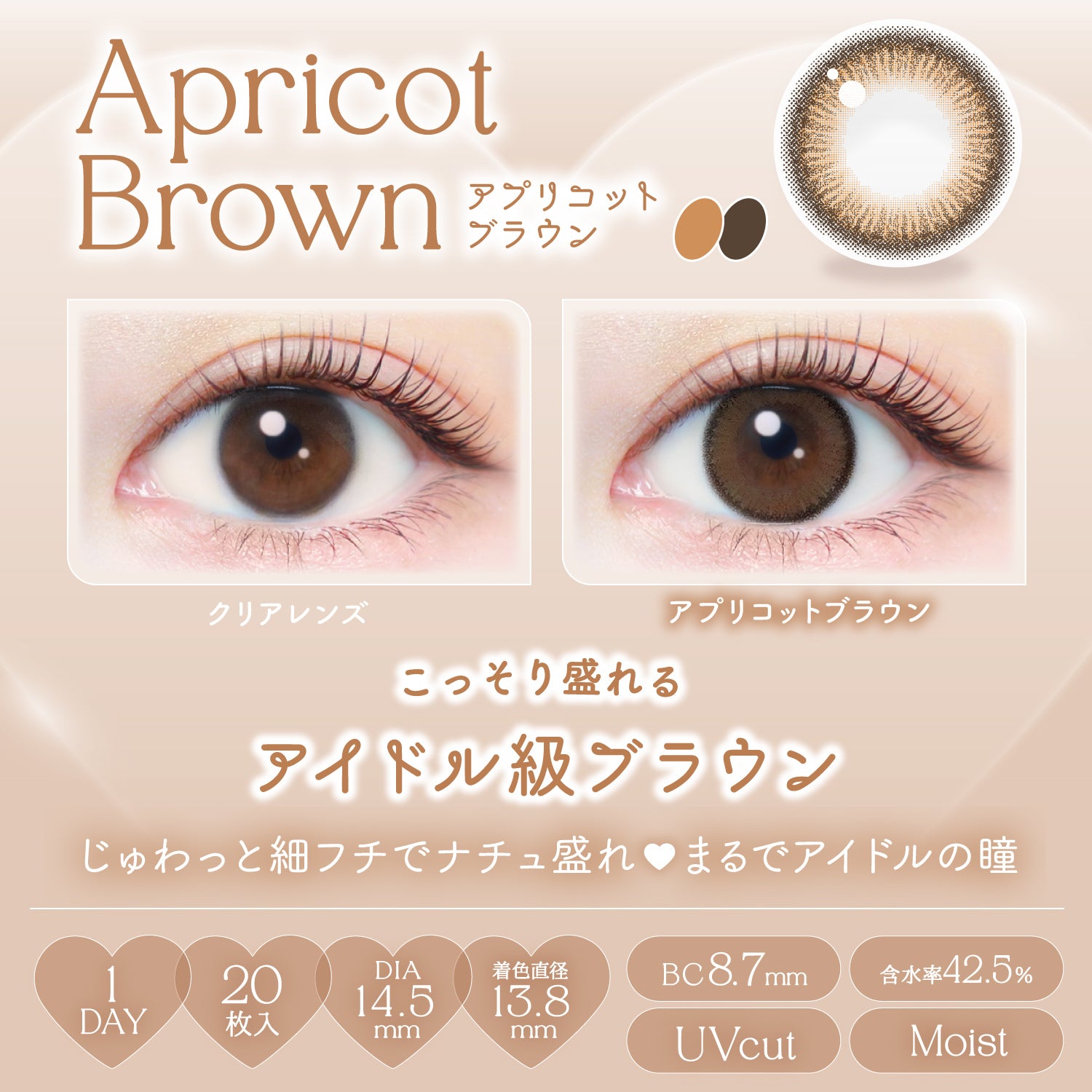 Apricot Brown [EverColor] | 1day Colored Contact Lens - DIA 14.5mm