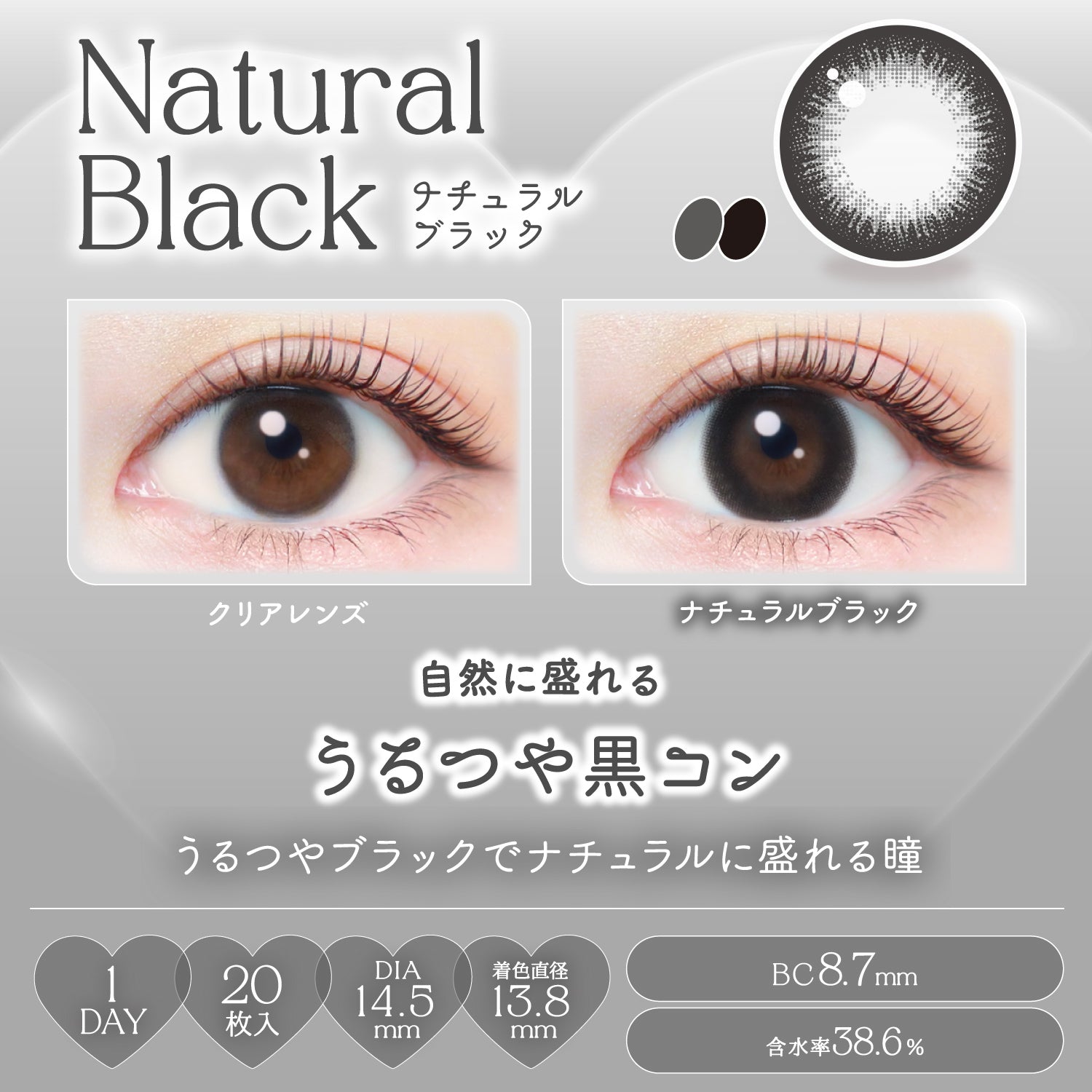 ナチュラルブラック [EverColor] | 1day