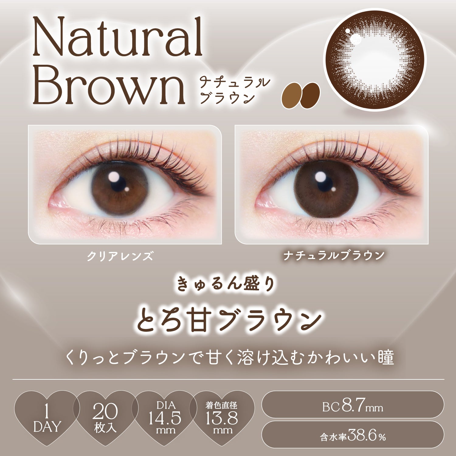 Natural Brown [EverColor] | 1day Colored Contact Lens - DIA 14.5mm