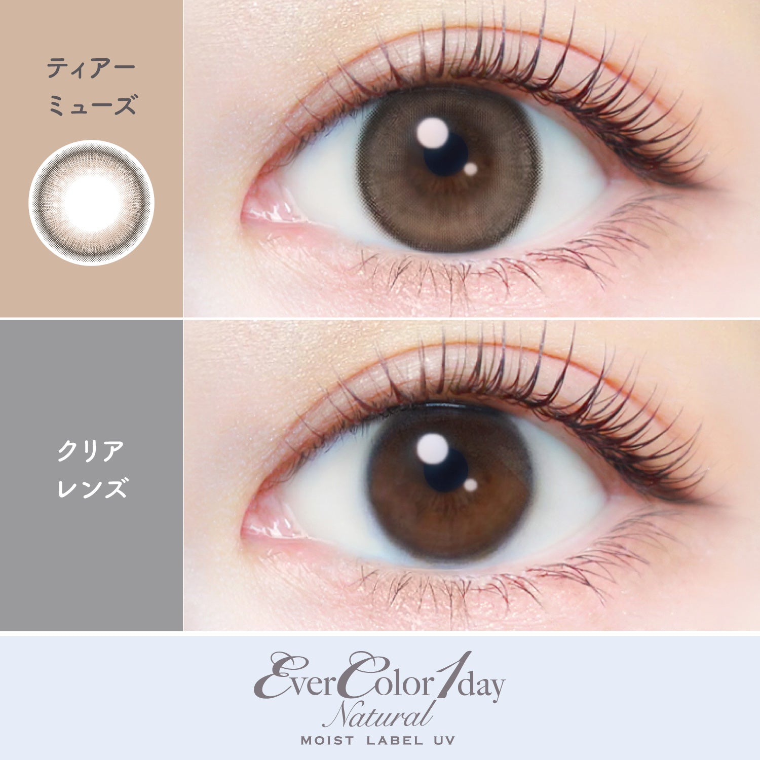 Tear Muse [EverColor] | 1day Colored Contact Lens - DIA 14.5mm