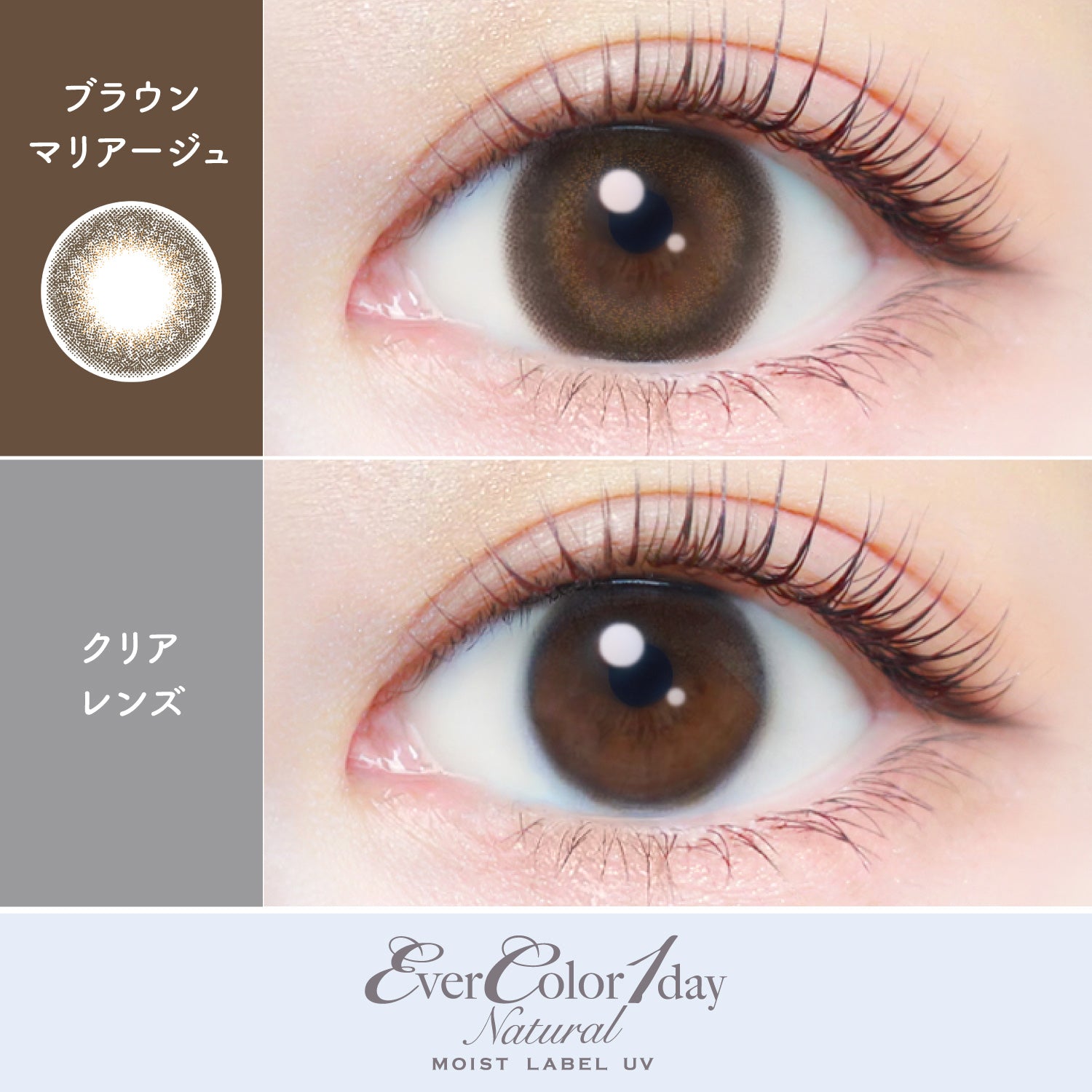 Brown Mariage [EverColor] | 1day Colored Contact Lens - DIA 14.5mm