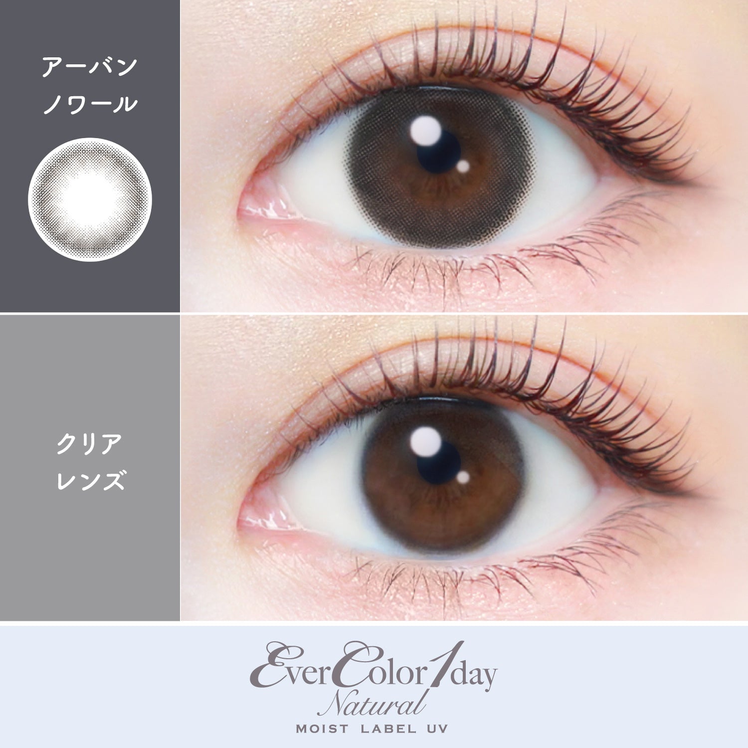 Urban Noir [EverColor] | 1day Colored Contact Lens - DIA 14.5mm