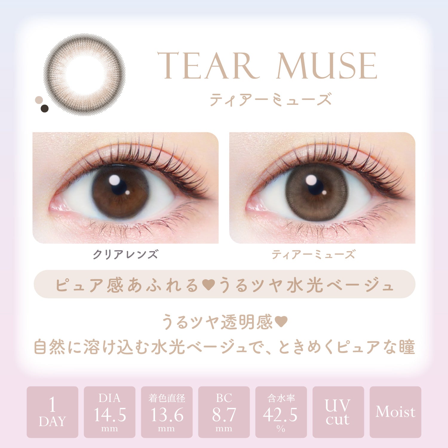 ティアーミューズ [EverColor] | 1day