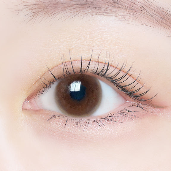 席尔布朗 [éRouge] | 2week 