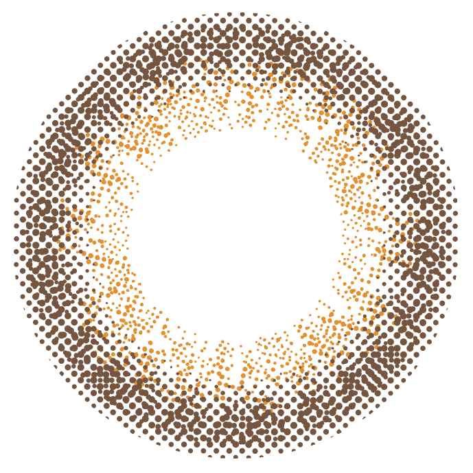 Flare Brown [éRouge] | 2 Wochen