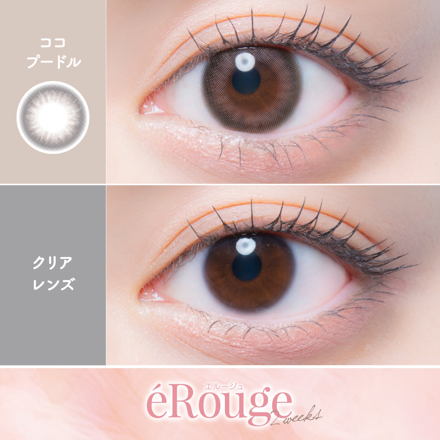 Coco Poodle [éRouge] | 2 tuần