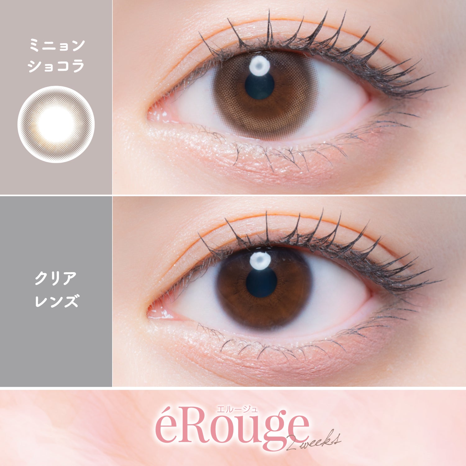 Mignon Chocolat [éRouge] | 2week 