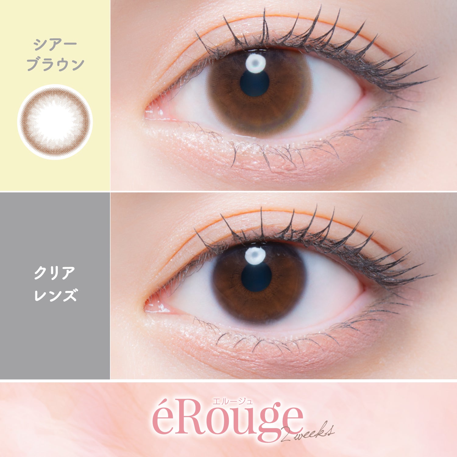 Brown traslucido [éRouge] | 2 settimane