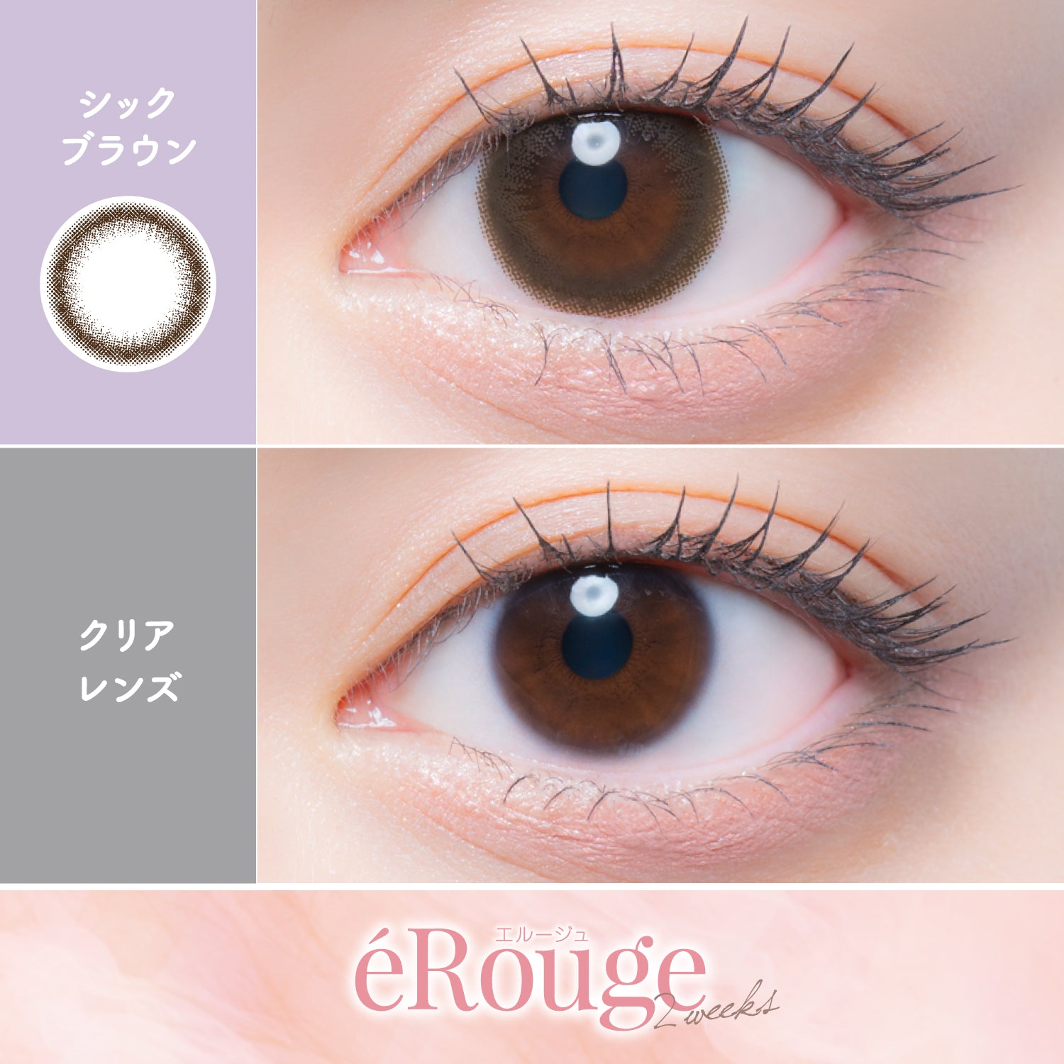 Chic Brown  [éRouge] | 2week