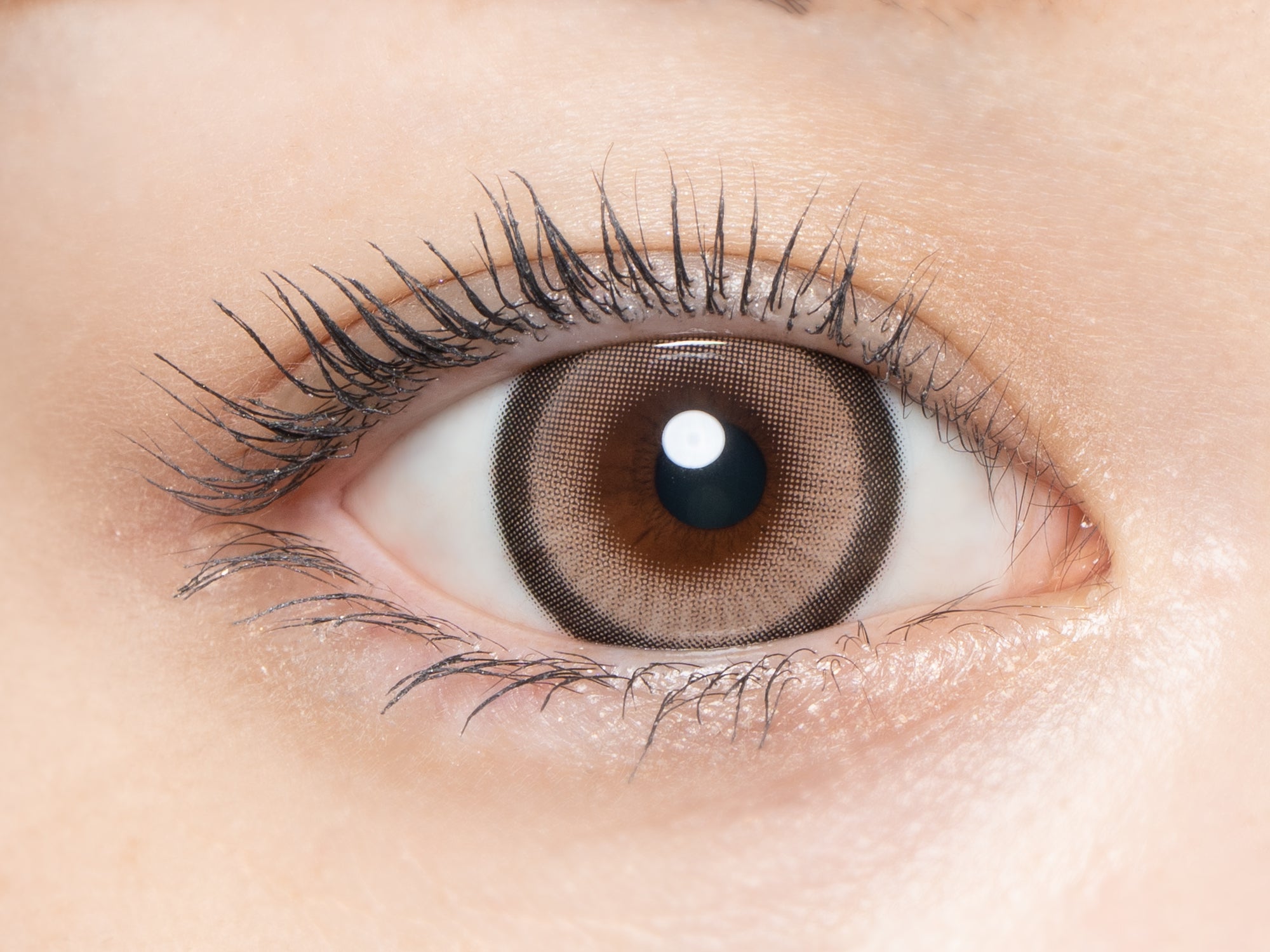 アルカディアゴールド [loveil] | 1day