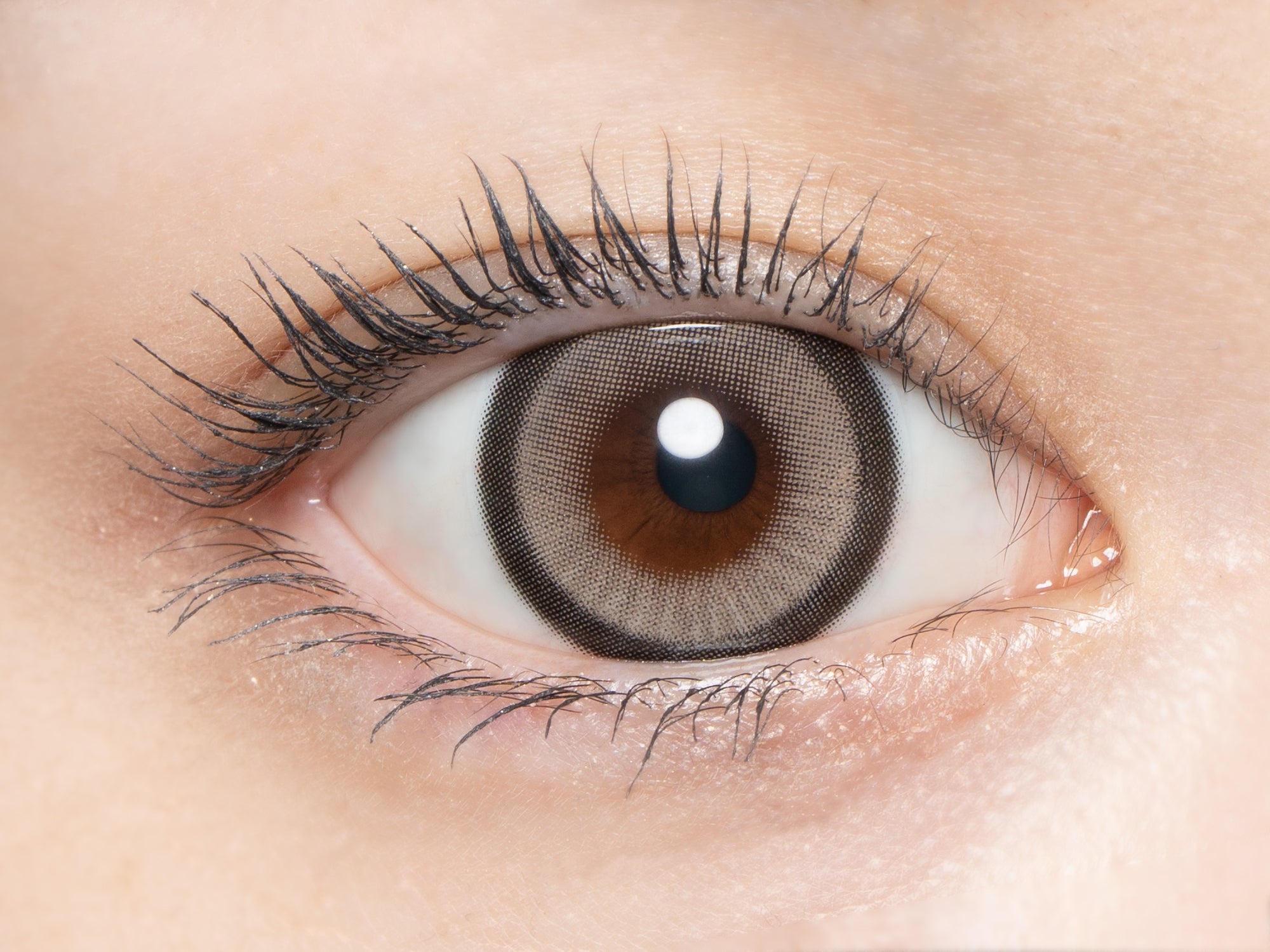 Sơ đồ Selestia [loveil] | 1day 