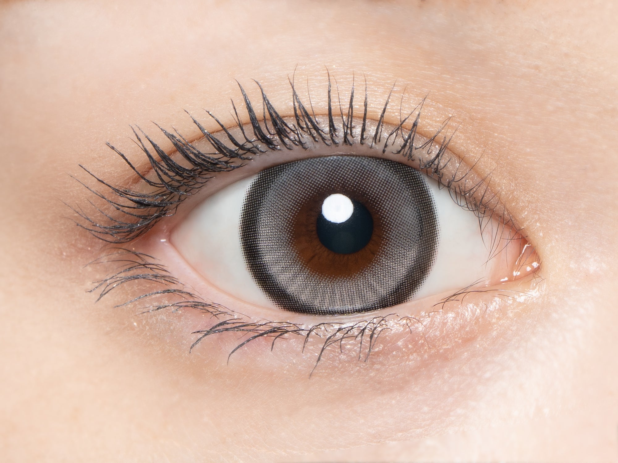 Giấc mơ không thể tin được [loveil] | 1day 