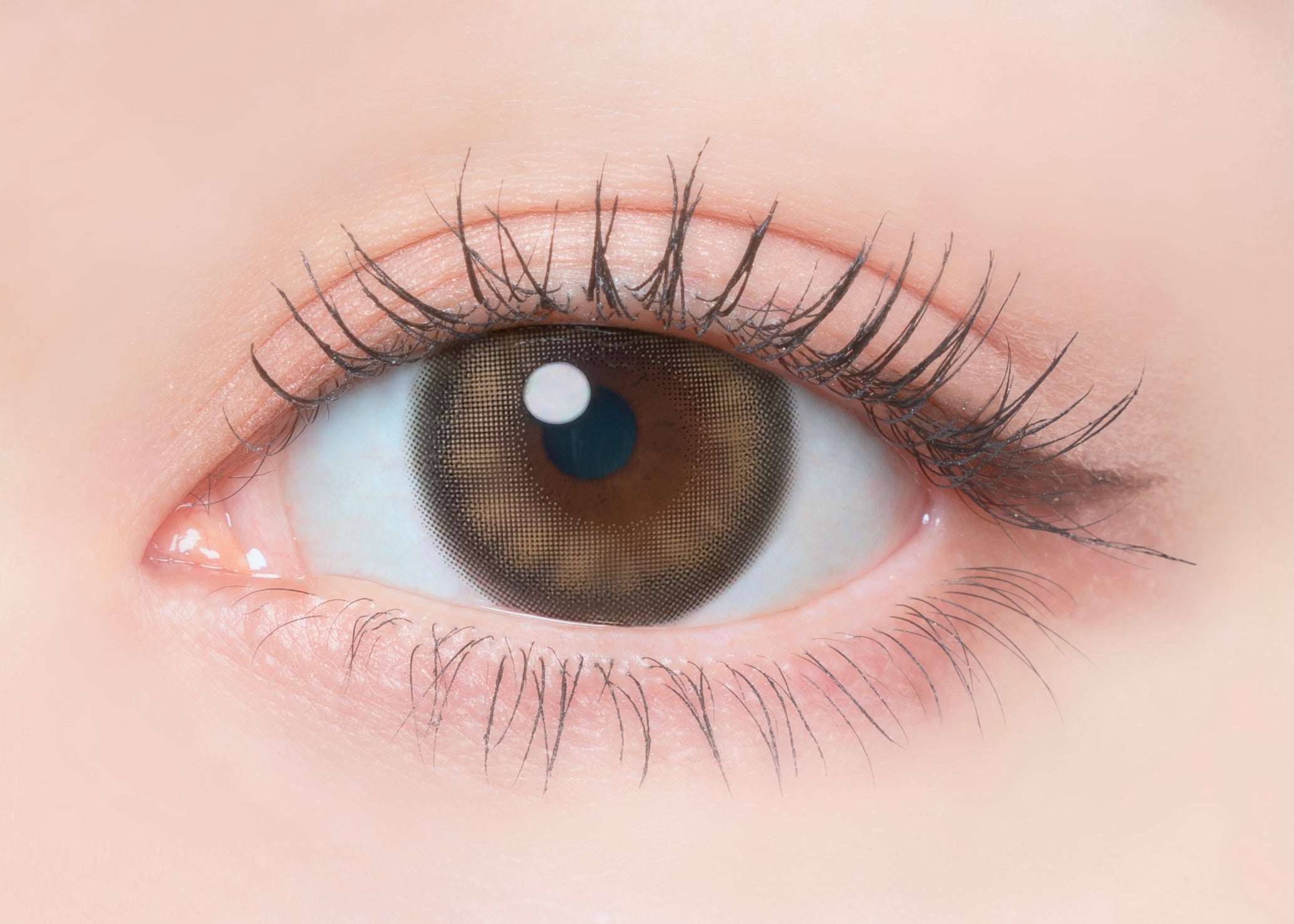 Sữa tươi [FLANMY] | 1day 