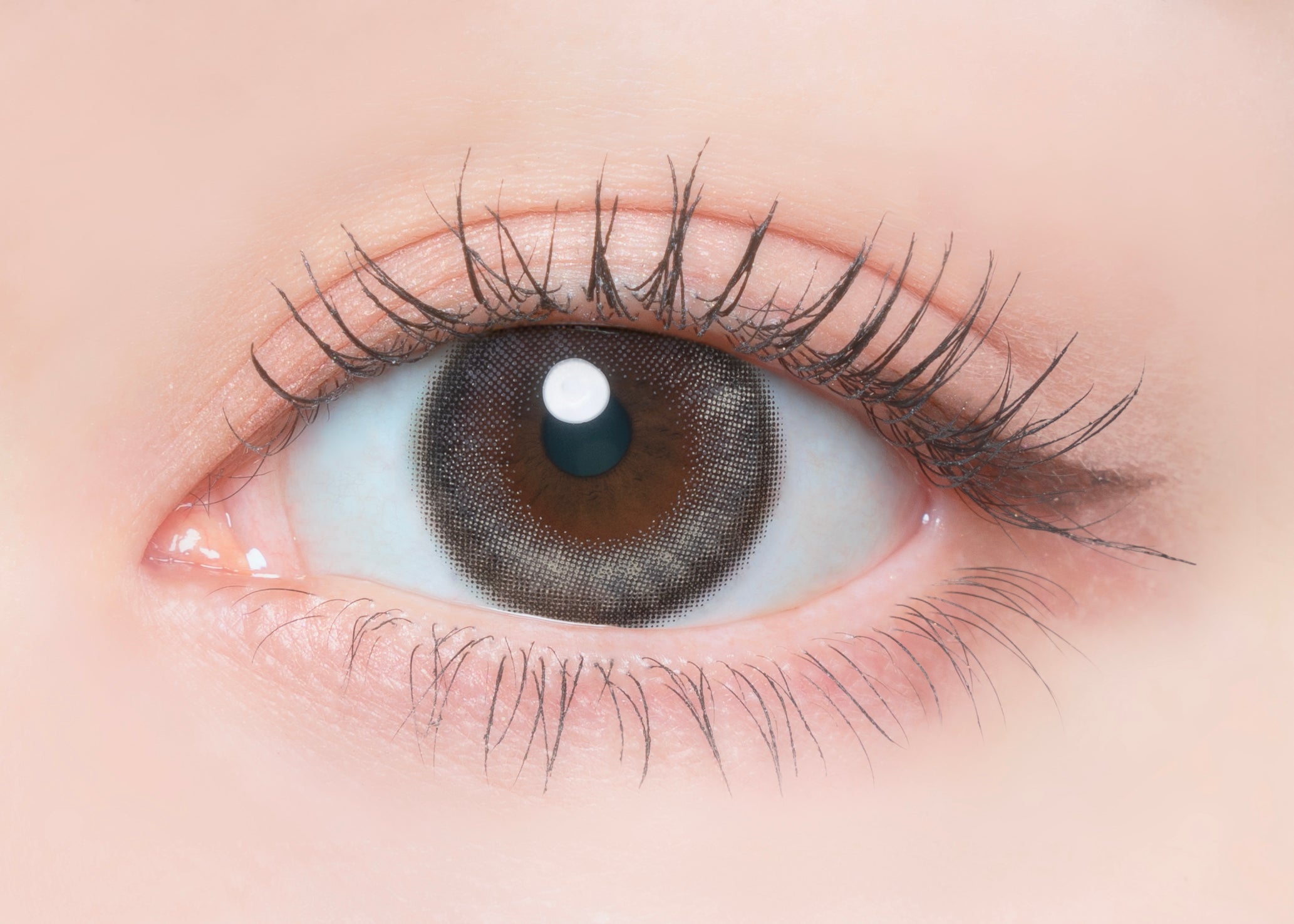 Salty Vanilla | FLANMY 1day Colored Contact Lens | Push!Color