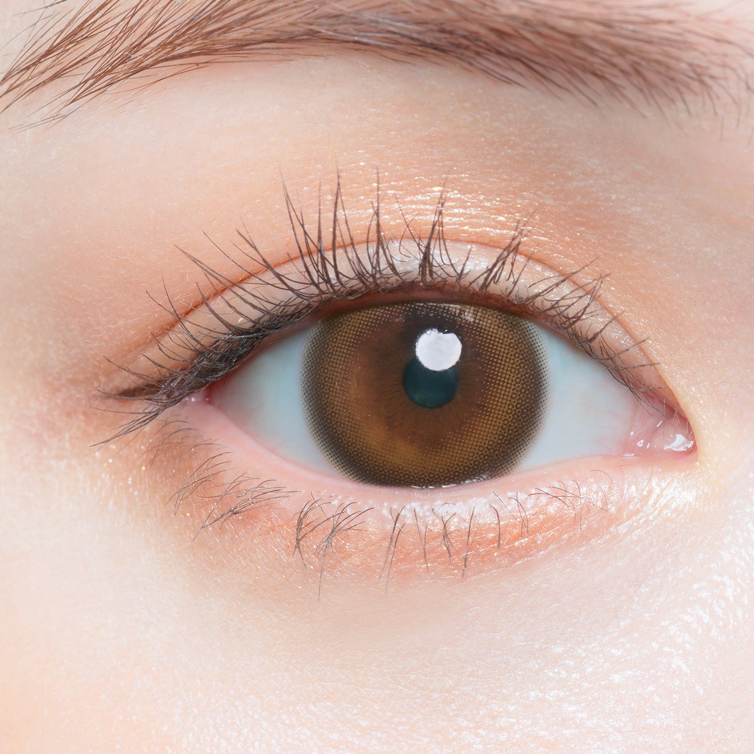 Holy Kiss [Chu's me] | 1day 