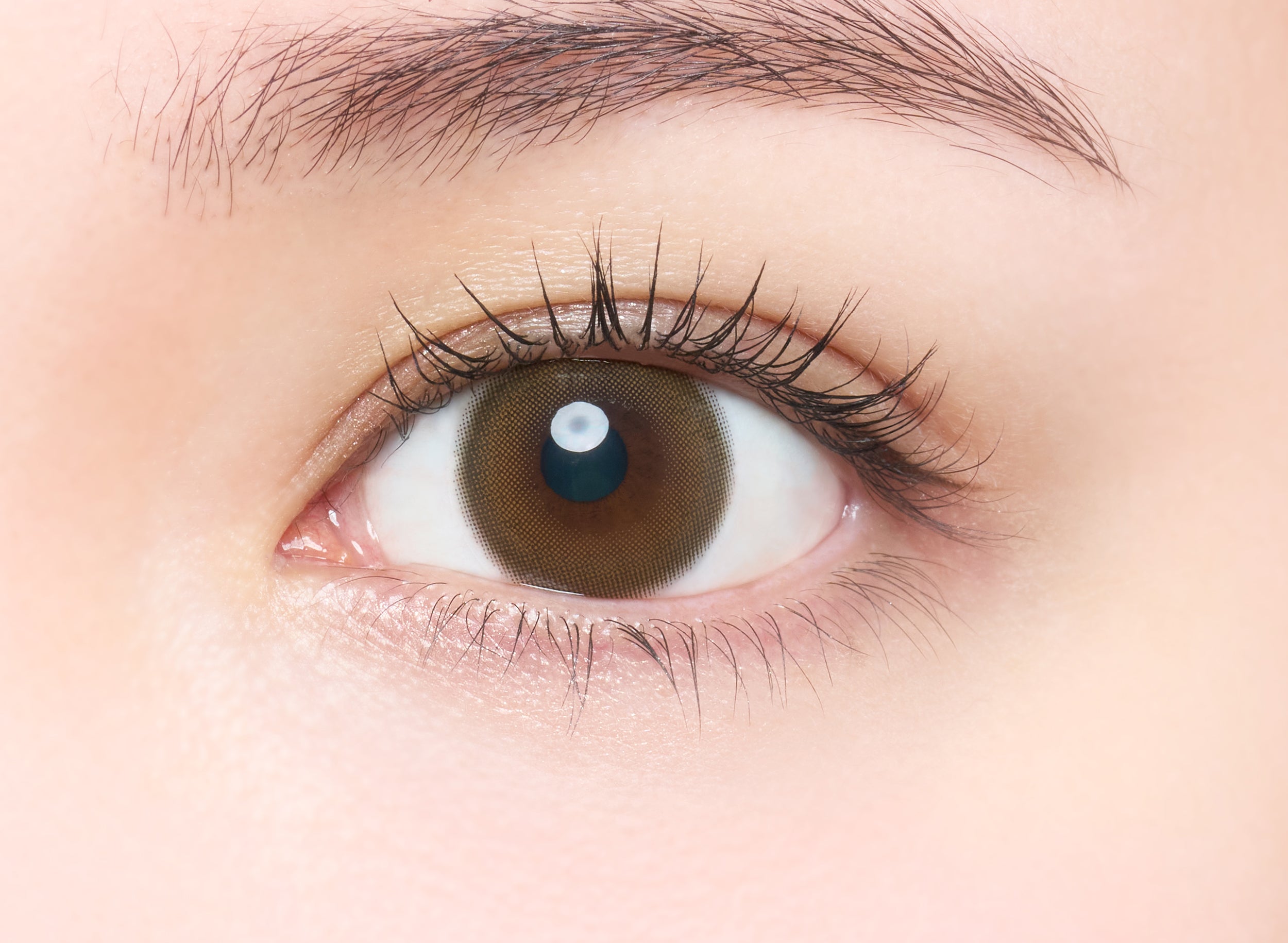 ヒロインルール 乱視用レンズ [melotte] | 1day