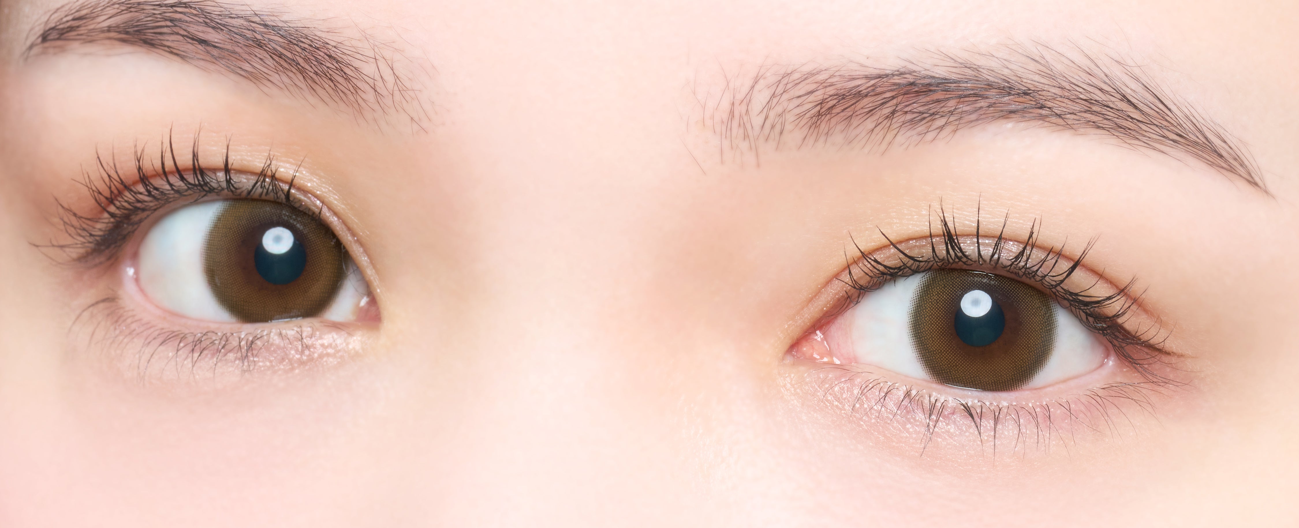 ヒロインルール 乱視用レンズ [melotte] | 1day