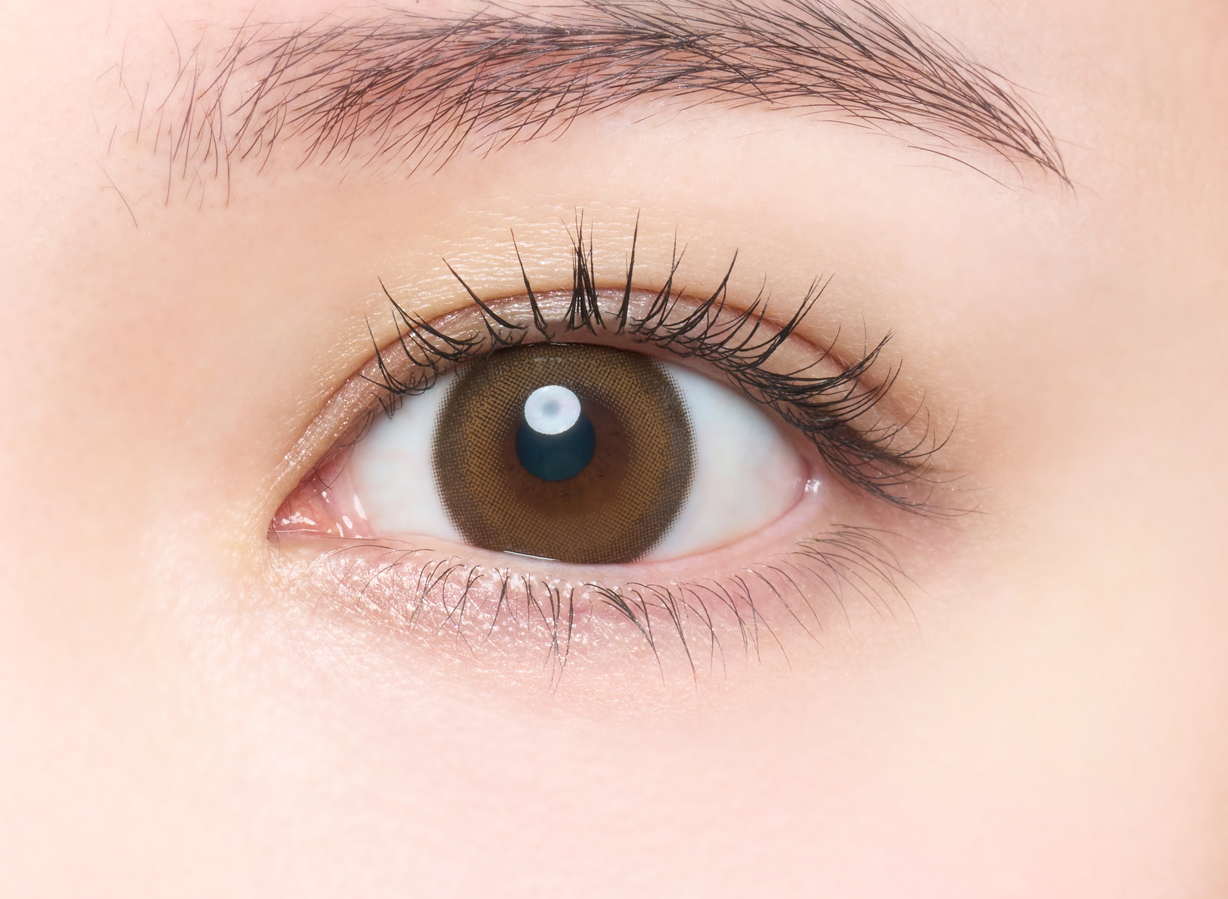 Geheime Bärte Torische Linsen [melotte] | 1day 